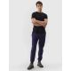 2. Pants 4F M 4FWSS24TTROM646-31S
