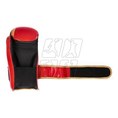 33. Open gloves ROSM-MASTERS (WAKO APPROVED) 01559-02M