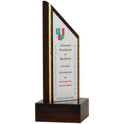 2. Engraved plastic trophy