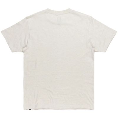 2. DC Corpo SS Tee ADYZT05396-SCVW Gray S