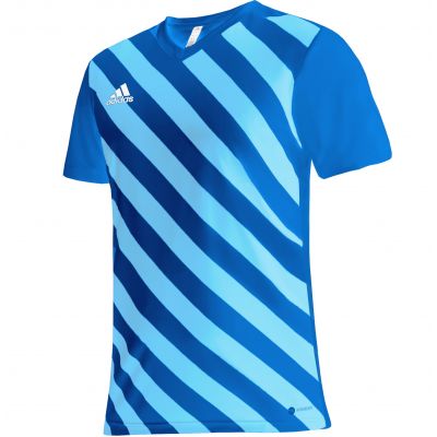 adidas Entrada 22 Graphic Jersey M HF0116
