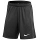 Nike Academy 24 Knit Pro Shorts FD7605-010