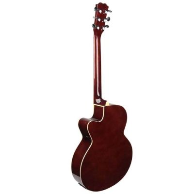 3. V-TONE EAG SET SB electro-acoustic guitar + amplifier