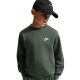 3. Nike Sportswear Club Fleece Kids' Sweatshirt, Dark Green FD3006 305