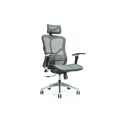 3. Ergonomic office chair ERGO 500 gray