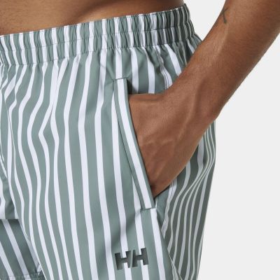 5. Helly Hansen Newport Trunk Swim Shorts M 34296 485