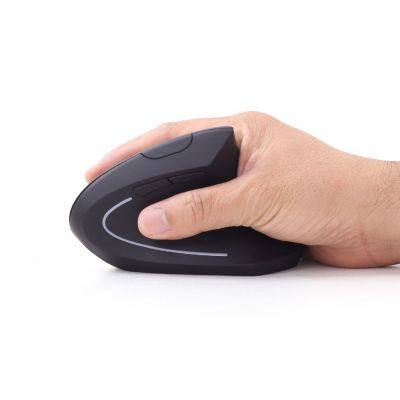 19. GEMBIRD MUSW-ERGO-01 mouse (optical; 1600 DPI; black)