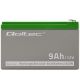 4. Qoltec 53031 gel battery
