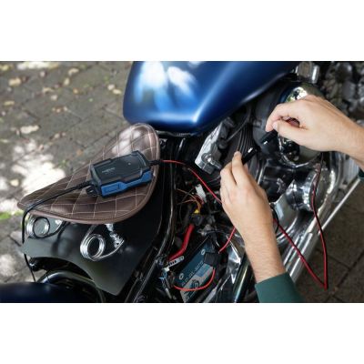 9. Ansmann 1001-0142 Vehicle Charger 6 - 12 V Black