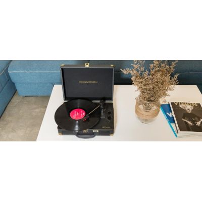 2. Muse MT-103 GD Turntable Black
