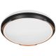 Activejet AJE-PETRUS 24W LED ceiling lamp