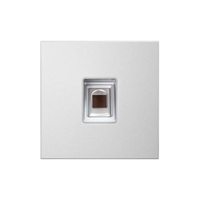 BCS-PAN-BN external panel