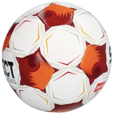 2. Select Brillant Training DB v25 FIFA Basic Ball 120077 White Size 4