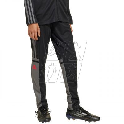 adidas Squadra 25 Training Jr Pants JD1628