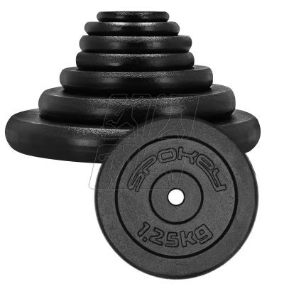 3. Cast iron weight 1.25kg Spokey Sinis SPK-944482