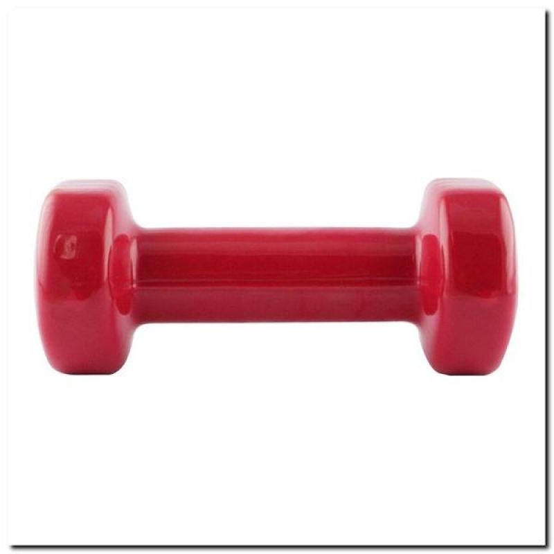 Vinyl weight 2kg HMS 17023
