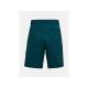 2. PEAK PERFORMANCE M Iconiq Shorts, green