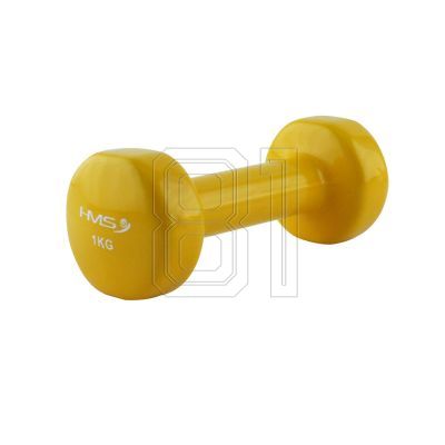 17. HMS 17023 vinyl weight 1kg