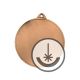 Laser engraved medal - RMI