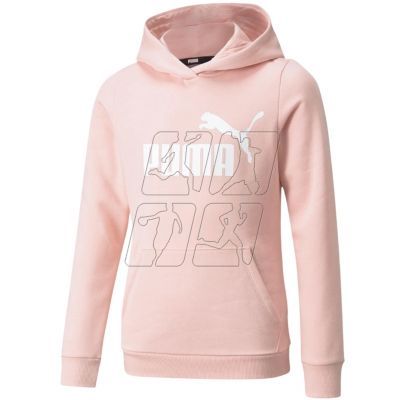 3. Puma ESS Logo Hoodie FL Jr 587031 36