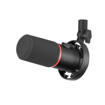 2. BOYA CastMic S60 Wired Dynamic Gaming Microphone USB XLR - Black