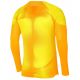 7. Nike Gardien IV Goalkeeper JSY M DH7967 719 goalkeeper shirt