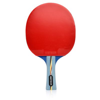 15. Meteor Windstorm 15018 Table Tennis Racket