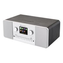 GoGen IR 257 BTDAB Digital Internet Silver