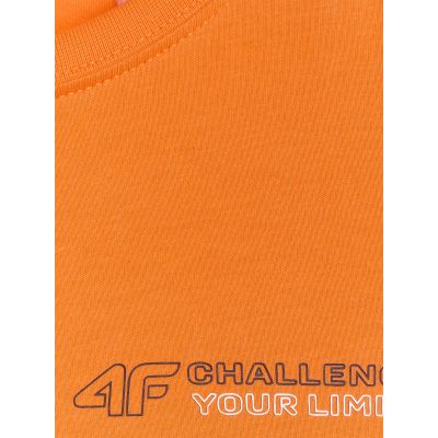 6. Boy's regular printed T-shirt 4F 4FJWAW25TTSHM2415-70S