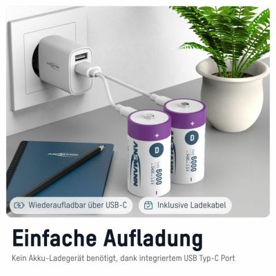 6. Ansmann 1314-0005 household battery Rechargeable battery D Lithium-Ion (Li-Ion)