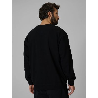 2. Men's regular sweatshirt without hood 4F 4FRMM00TSWSM3059-20S