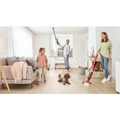 11. BOSCH BBH 3ZOO28 FLEXXO vacuum cleaner