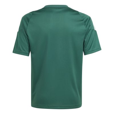 2. adidas Tiro 24 Jr T-shirt IS1028