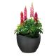 2. Scheurich 4033083250525 Outdoor Planter Potted Planter Freestanding Plastic Black