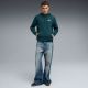 6. Puma ESS Small No.1 Logo Hoodie FL M 682575 75