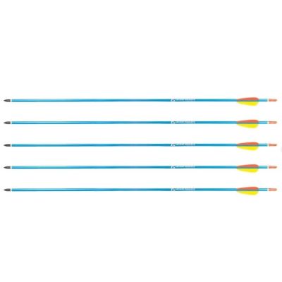 Aluminum Arrows 30" BLUE Poe Lang - Set of 5