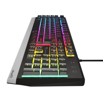 9. GENESIS GAMING KEYBOARD RHOD 300 RGB US NKG-1528