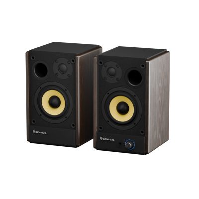 4. GENESIS ARSEN 402BT 2-Way Brown Wired and Wireless 60 W