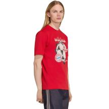 adidas FC Bayern Munich Seasonal Graphic Men's T-Shirt Red KG2586