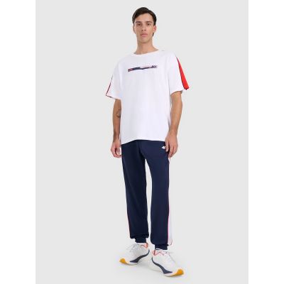 5. Men's jogger sweatpants 4F 4FRAW25TTROM1611-31S