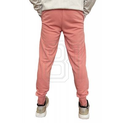 7. Puma Ess+ 2 Col Logo Pants M 586768 62