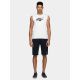 2. Men's sleeveless T-shirt 4F 4FWSS25TSLEM287-10S
