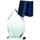 6. Glass trophy with case