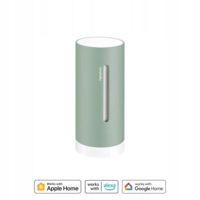 2. Original Netatmo NIM-M Mint Indoor Module