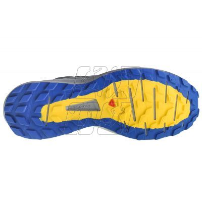 4. Shoes Salomon Sense Ride 4 GTX M 413778