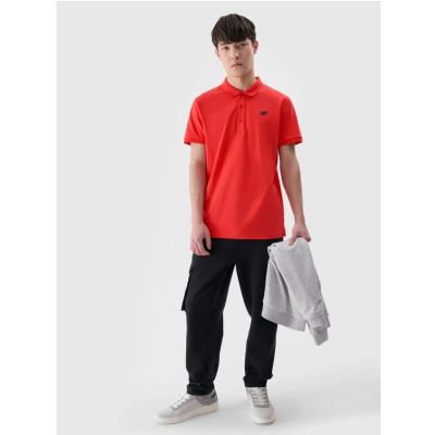 2. Men's regular polo shirt 4F 4FWMM00TPTSM367-62S