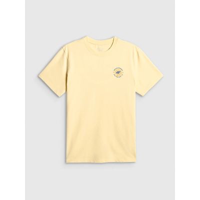 5. Men's regular printed T-shirt 4F 4FRSS26TTSHM4293-73S