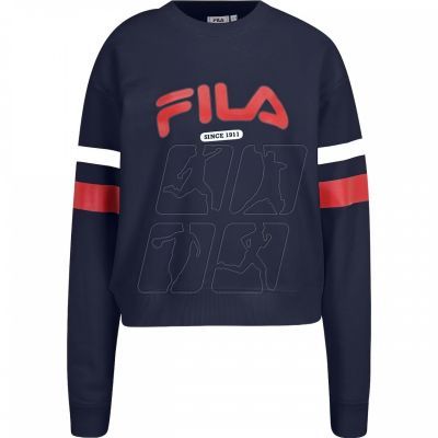 9. Fila Barumini Hoody M FAU0068.10001