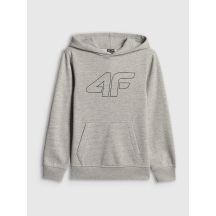 Boy's regular hooded sweatshirt 4F 4FJRSS26TSWSM2748-25M