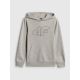 Boy's regular hooded sweatshirt 4F 4FJRSS26TSWSM2748-25M